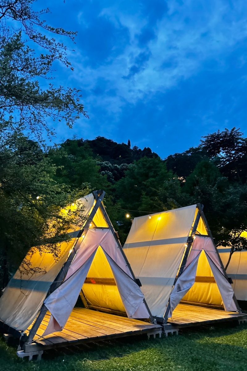 480870990_1145138953868108_7487724249626352456_n